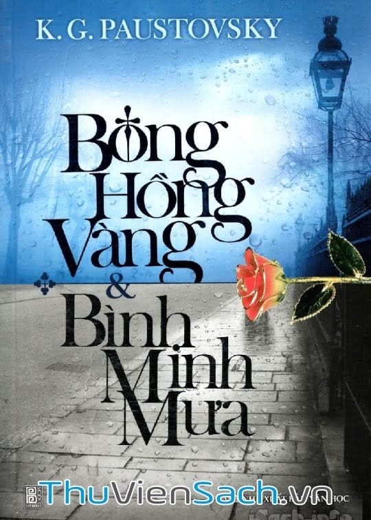 Bông Hồng Vàng Và Bình Minh Mưa